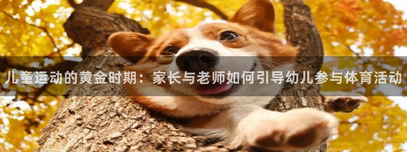 杏运平台开户链接：儿童运动的黄金时期：家长与老师如何引导幼儿参与体育活动