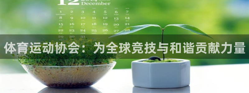 佛山市南海意昂机电仪器有限公司：体育运动协会：为全球竞技与和谐贡献力量