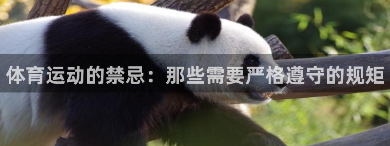 杏运平台招商：体育运动的禁忌：那些需要严格遵守的规矩