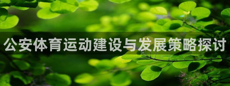 杏运4平台：公安体育运动建设与发展策略探讨