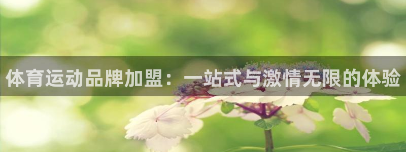 杏运集团股票：体育运动品牌加盟：一站式与激情无限的体验