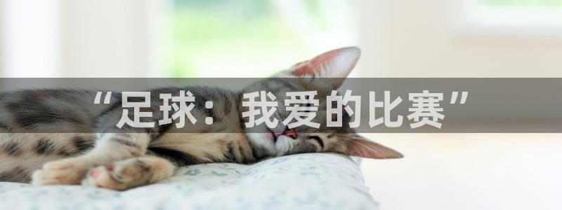 意昂3官网：“足球：我爱的比赛”