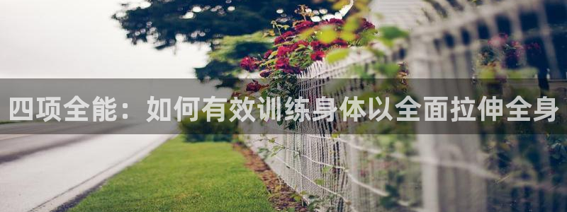 意昂平台招商：四项全能：如何有效训练身体以全面拉伸全身