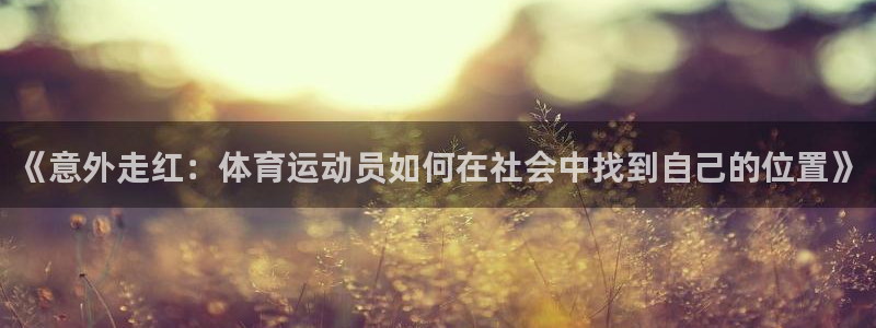 意昂体育注册：《意外走红：体育运动员如何在社会中找到自己的位置》