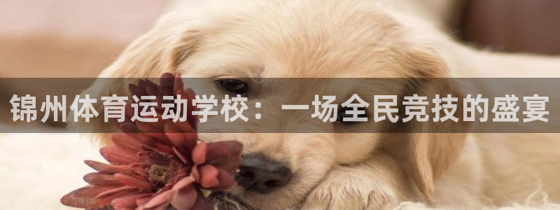 杏运5：锦州体育运动学校：一场全民竞技的盛宴