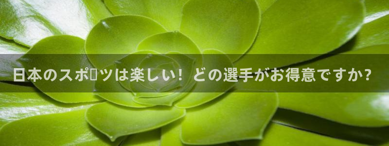 杏运平台注册入口：日本のスポーツは楽しい！どの選手がお得意ですか？