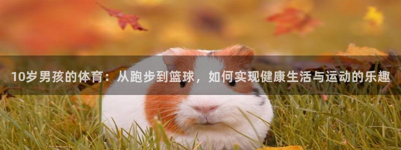 杏运体育凯捷代理注册：10岁男孩的体育：从跑步到篮球，如何实现健康生活与运动的乐