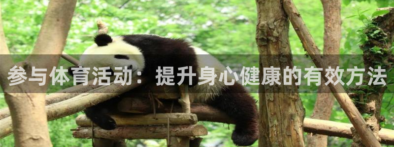 意昂平台主管：参与体育活动：提升身心健康的有效方法
