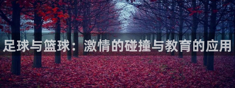 杏运2平台登录：足球与篮球：激情的碰撞与教育的应用