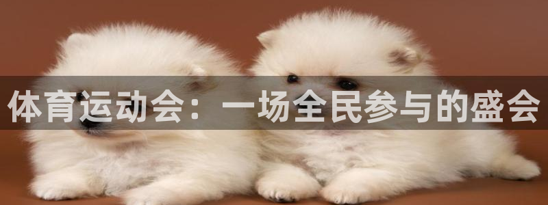 意昂平台：体育运动会：一场全民参与的盛会