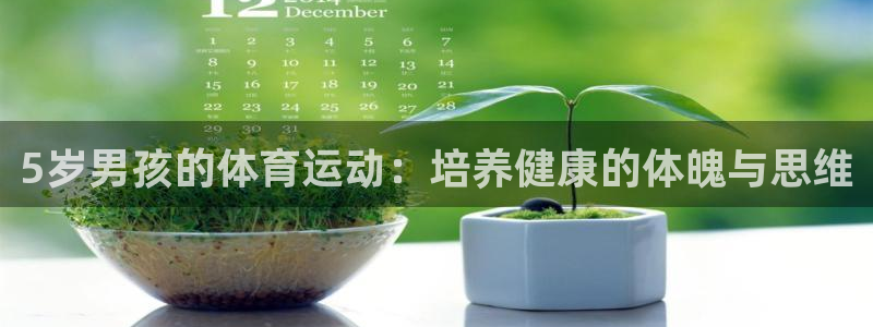 成都杏运电子有限公司：5岁男孩的体育运动：培养健康的体魄与思维