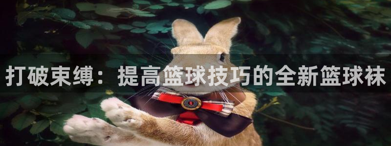 意昂平台注册入口：打破束缚：提高篮球技巧的全新篮球袜