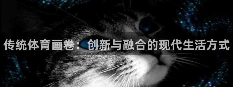 意昂平台注册：传统体育画卷：创新与融合的现代生活方式