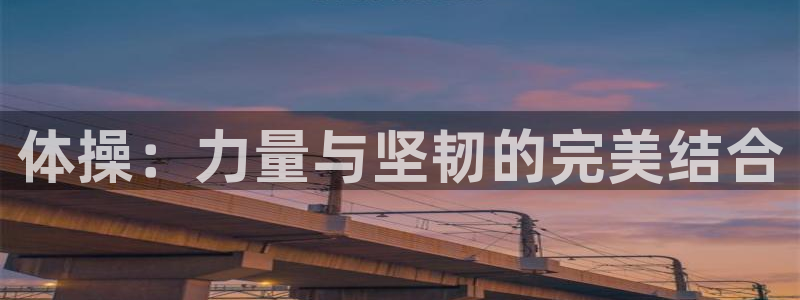 杏运体育用品：体操：力量与坚韧的完美结合