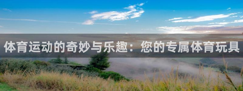 杏运体育凯捷平台注册：体育运动的奇妙与乐趣：您的专属体育玩具