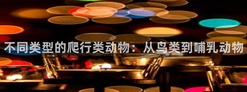 成都杏运电子有限公司：不同类型的爬行类动物：从鸟类到哺乳动物