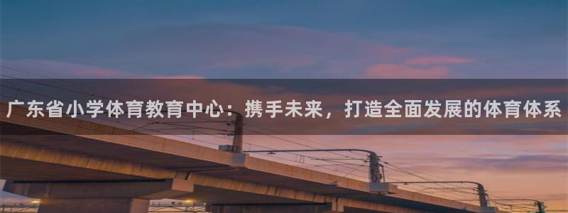 意昂4平台注册：广东省小学体育教育中心：携手未来，打造全面发展的体育体系
