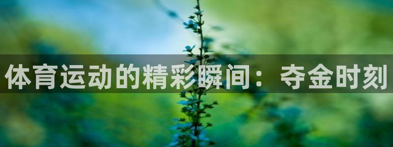 成都意昂电子有限公司：体育运动的精彩瞬间：夺金时刻