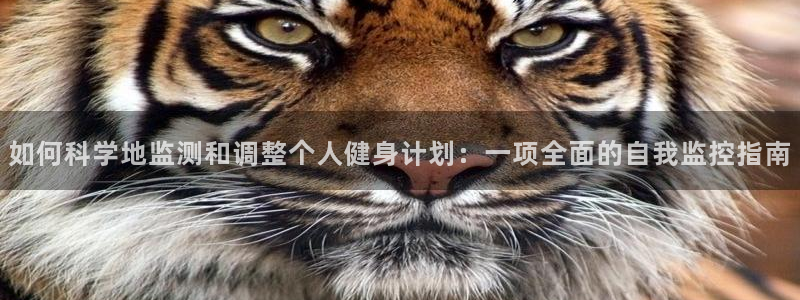 杏运登录：如何科学地监测和调整个人健身计划：一项全面的自我监控指南